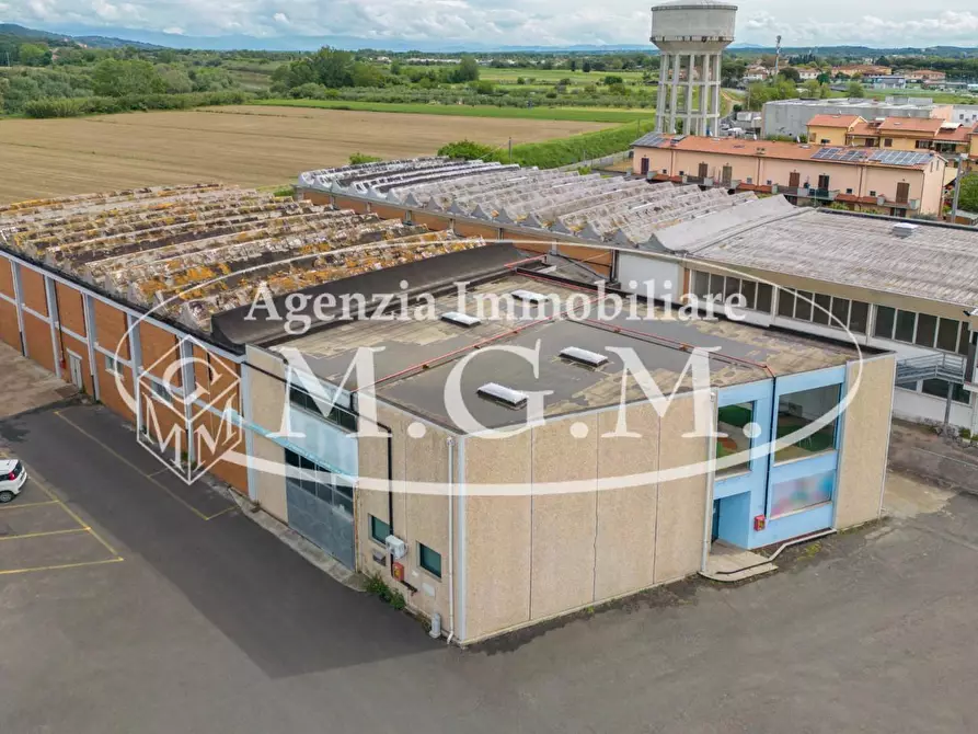 Immagine 3 di Capannone industriale in vendita  a Calcinaia