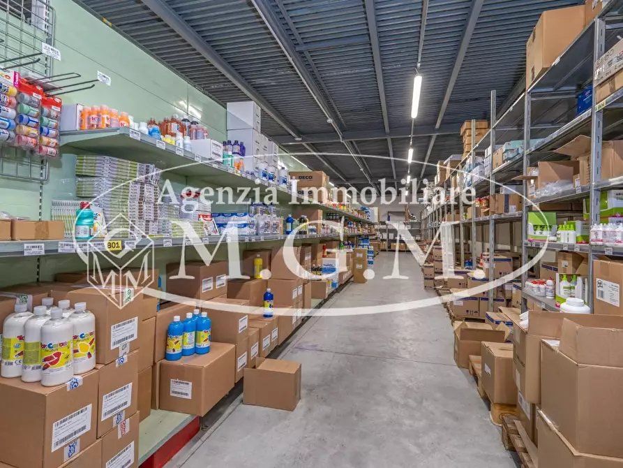 Immagine 23 di Capannone industriale in vendita  a Calcinaia