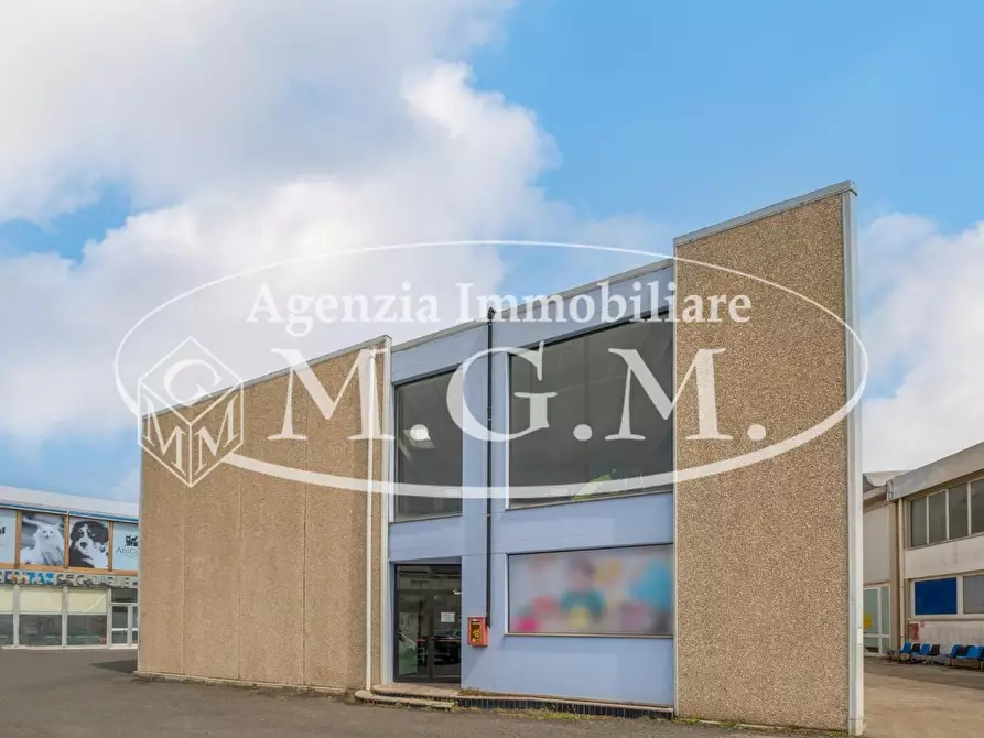 Immagine 2 di Capannone industriale in vendita  a Calcinaia
