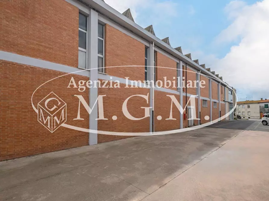 Immagine 8 di Capannone industriale in vendita  a Calcinaia