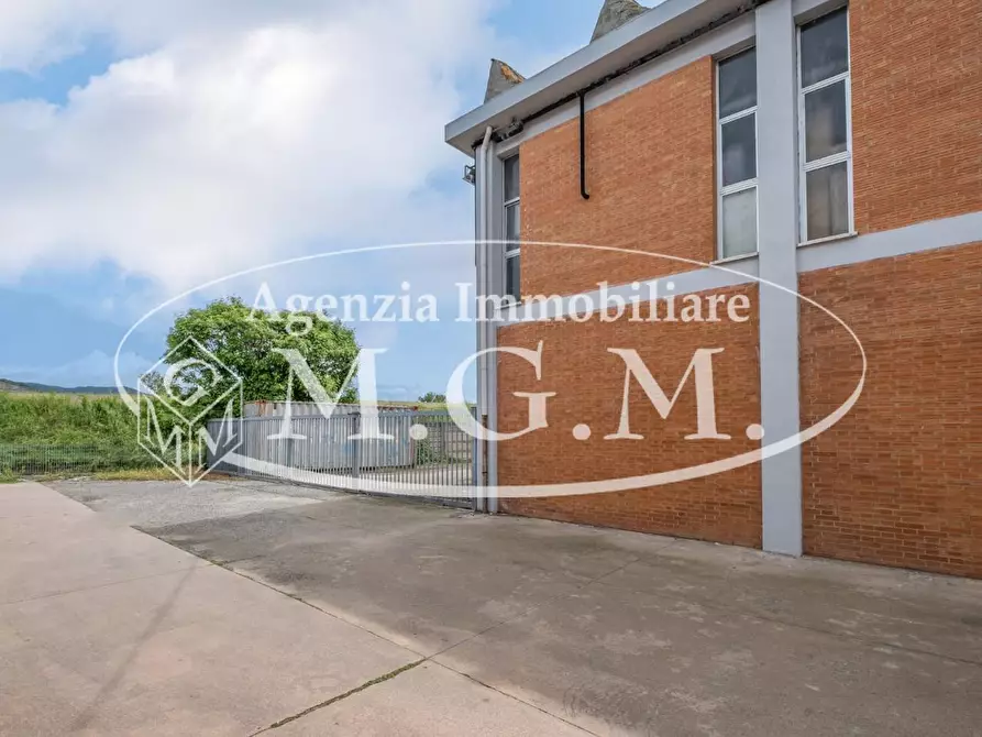 Immagine 6 di Capannone industriale in vendita  a Calcinaia