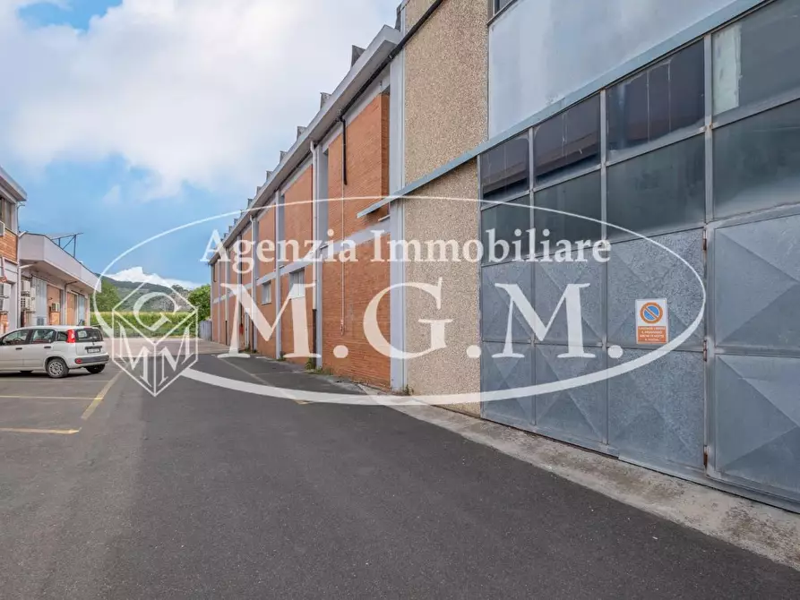 Immagine 5 di Capannone industriale in vendita  a Calcinaia