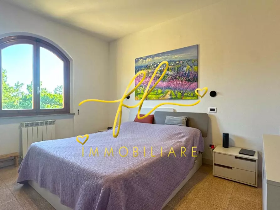 Immagine 18 di Appartamento in vendita  a Rosignano Marittimo