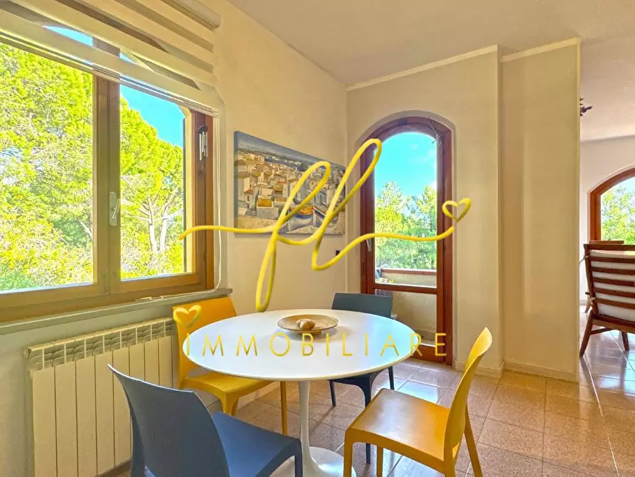 Immagine 6 di Appartamento in vendita  a Rosignano Marittimo