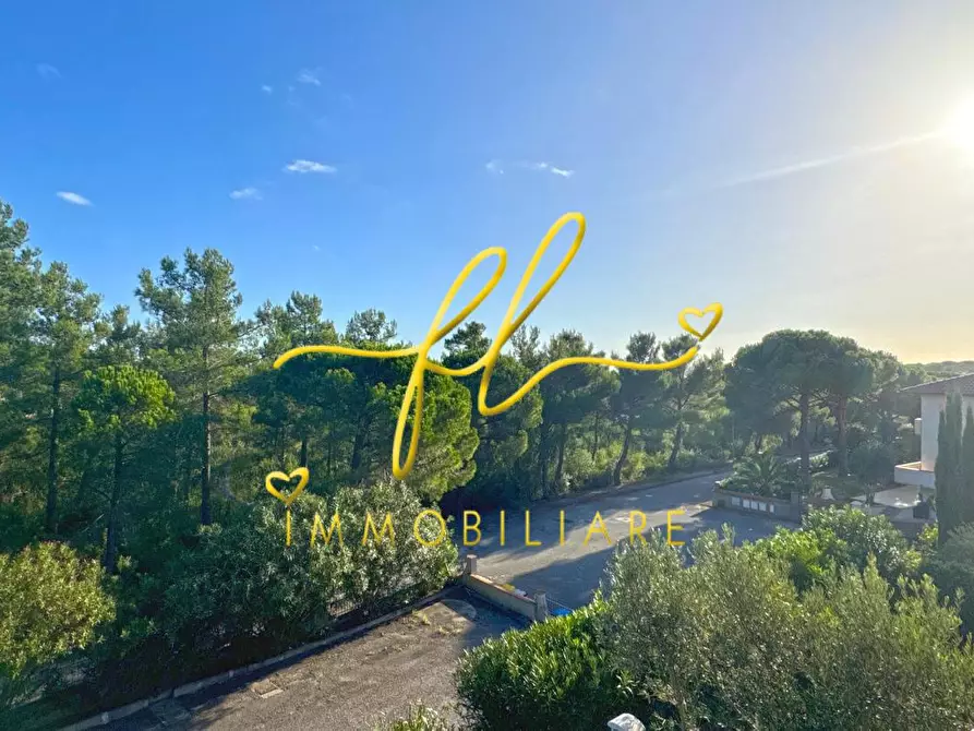 Immagine 17 di Appartamento in vendita  a Rosignano Marittimo