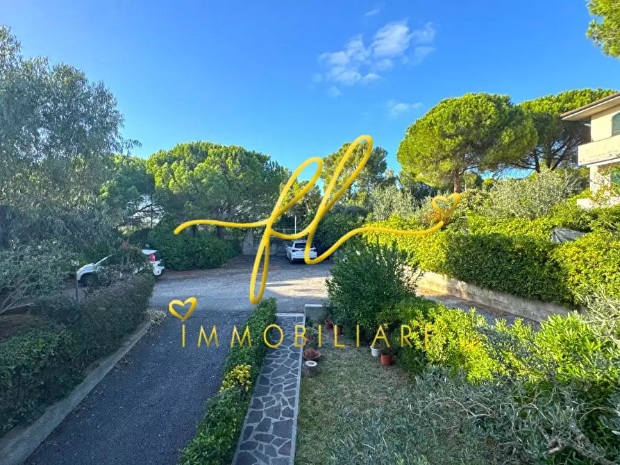 Immagine 21 di Appartamento in vendita  a Rosignano Marittimo