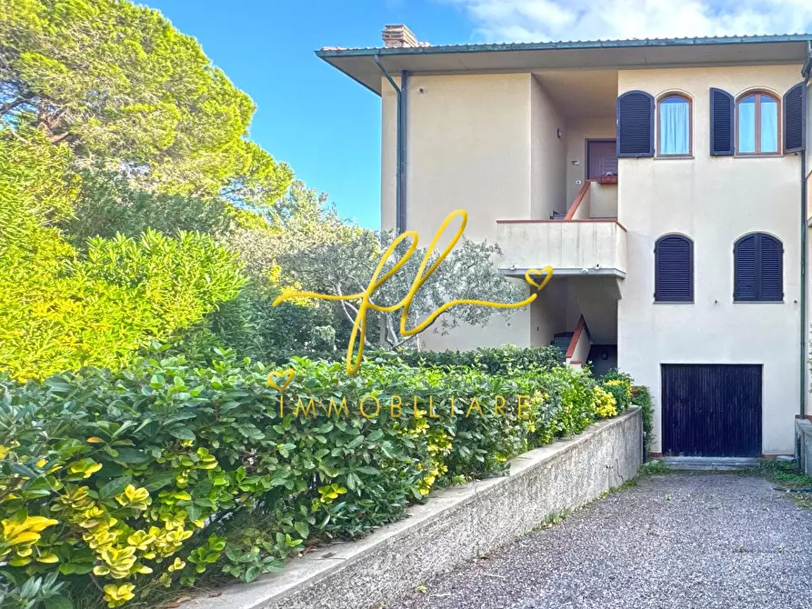 Immagine 2 di Appartamento in vendita  a Rosignano Marittimo