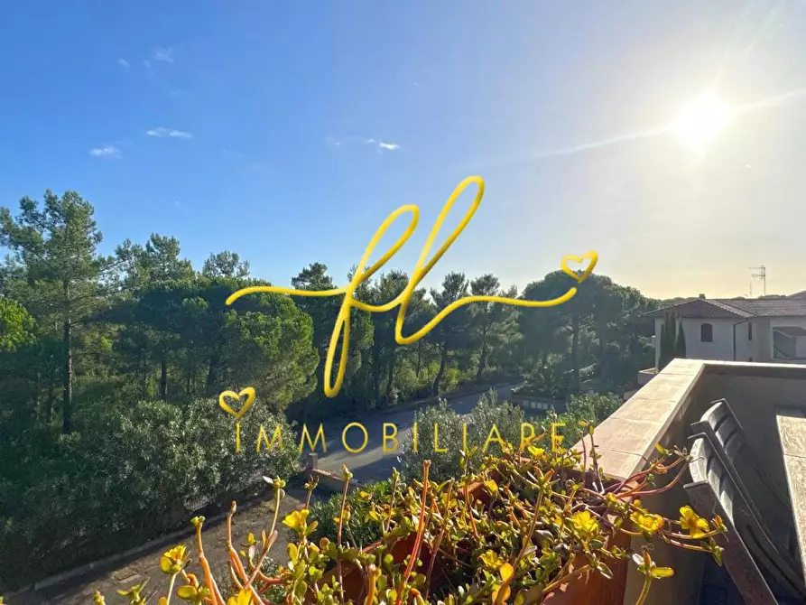 Immagine 16 di Appartamento in vendita  a Rosignano Marittimo