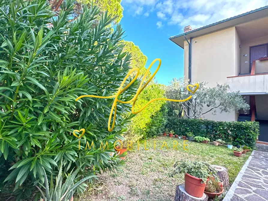 Immagine 3 di Appartamento in vendita  a Rosignano Marittimo