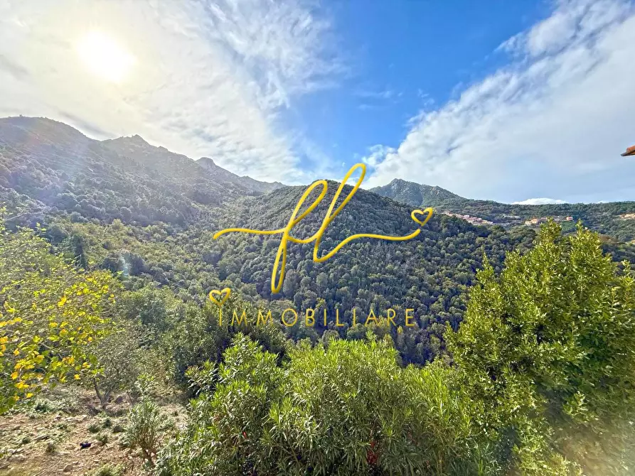 Immagine 17 di Appartamento in vendita  a Marciana