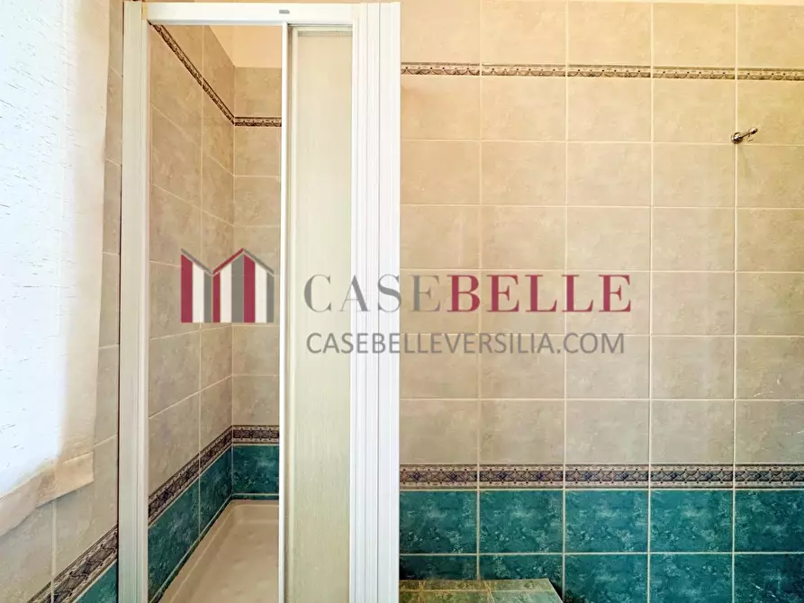 Immagine 42 di Casa indipendente in vendita  a Camaiore