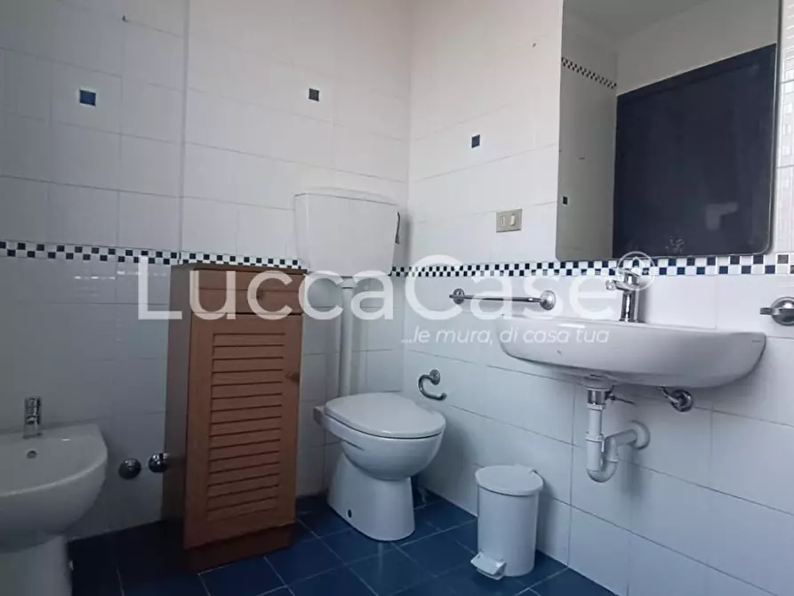 Immagine 12 di Ufficio in affitto  a Lucca