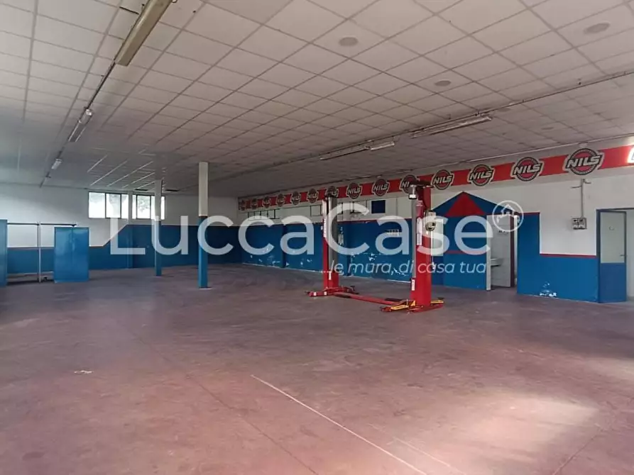 Immagine 4 di Attività artigianale in affitto  a Coreglia Antelminelli