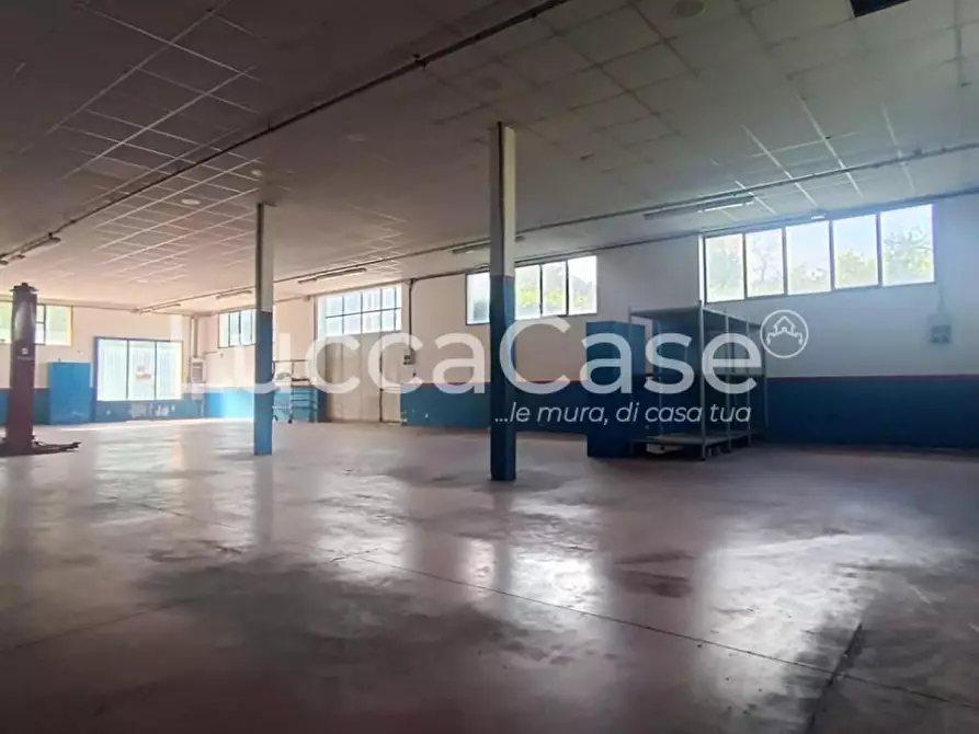 Immagine 2 di Attività artigianale in affitto  a Coreglia Antelminelli