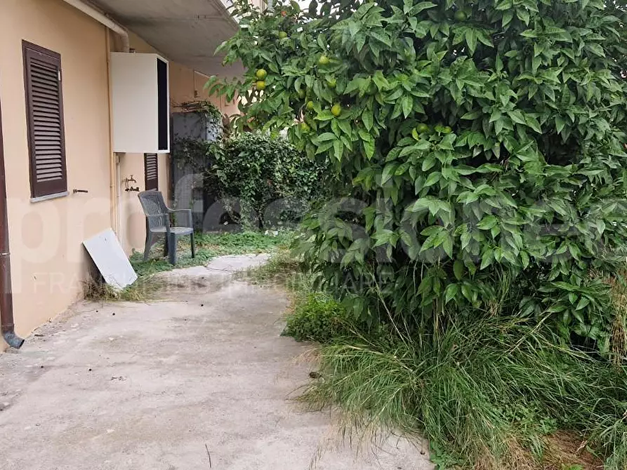 Immagine 18 di Appartamento in vendita  a Calci