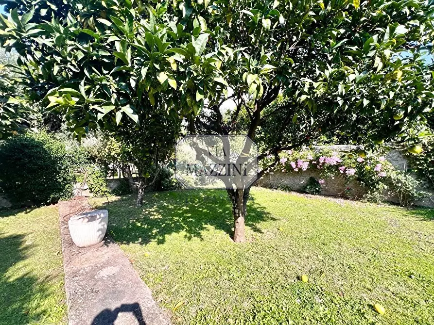 Immagine 22 di Casa semindipendente in vendita  a Seravezza