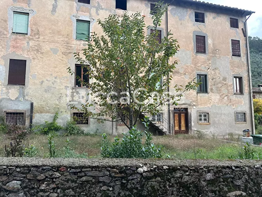 Immagine 27 di Casa colonica in vendita  a Capannori