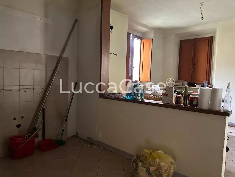 Immagine 6 di Casa colonica in vendita  a Capannori