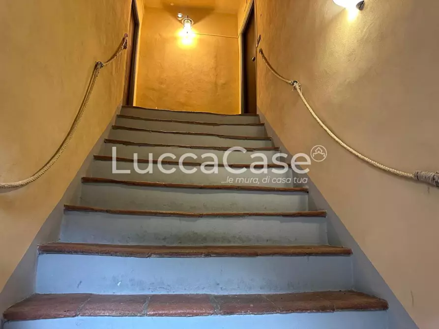 Immagine 3 di Casa colonica in vendita  a Capannori