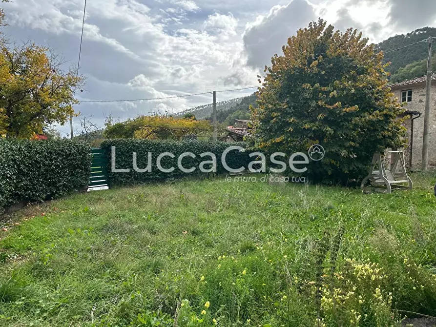 Immagine 30 di Casa colonica in vendita  a Capannori