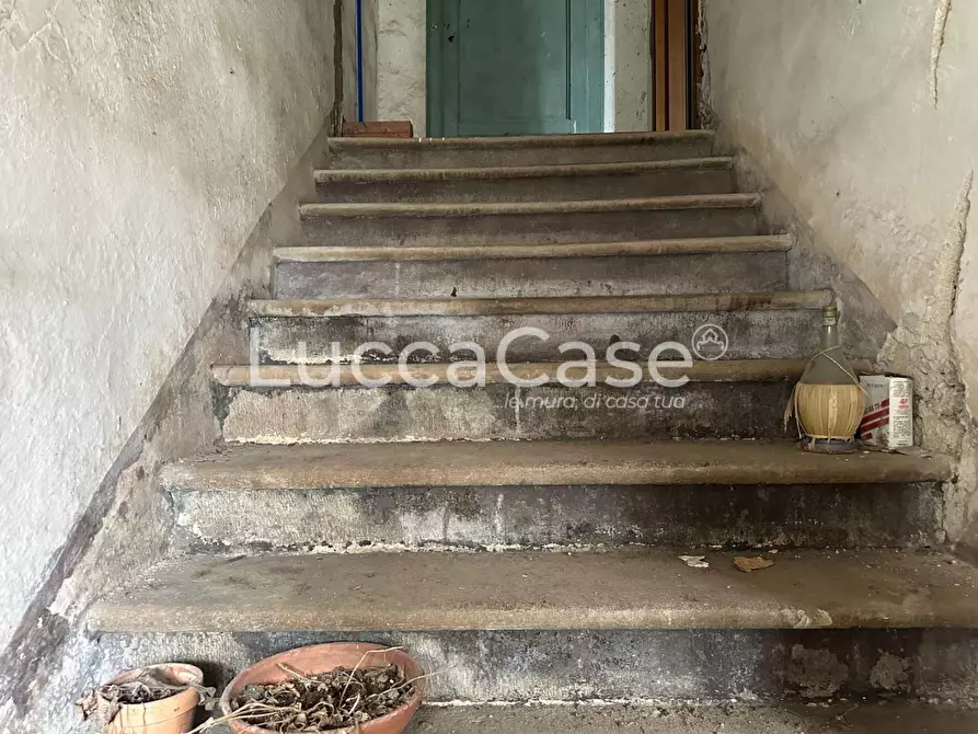 Immagine 18 di Casa colonica in vendita  a Capannori