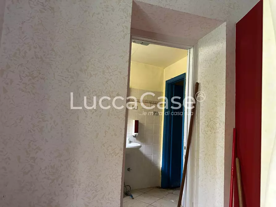 Immagine 5 di Terratetto in vendita  a Capannori