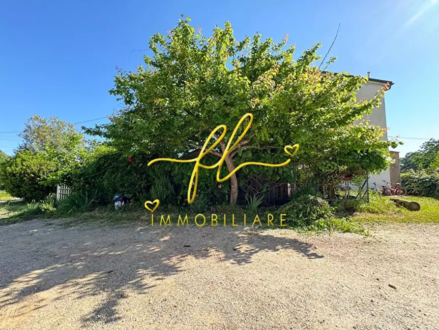 Immagine 28 di Appartamento in vendita  a Collesalvetti