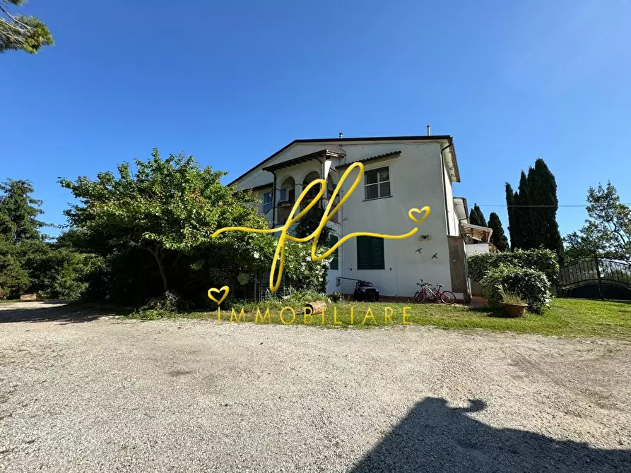 Immagine 31 di Appartamento in vendita  a Collesalvetti