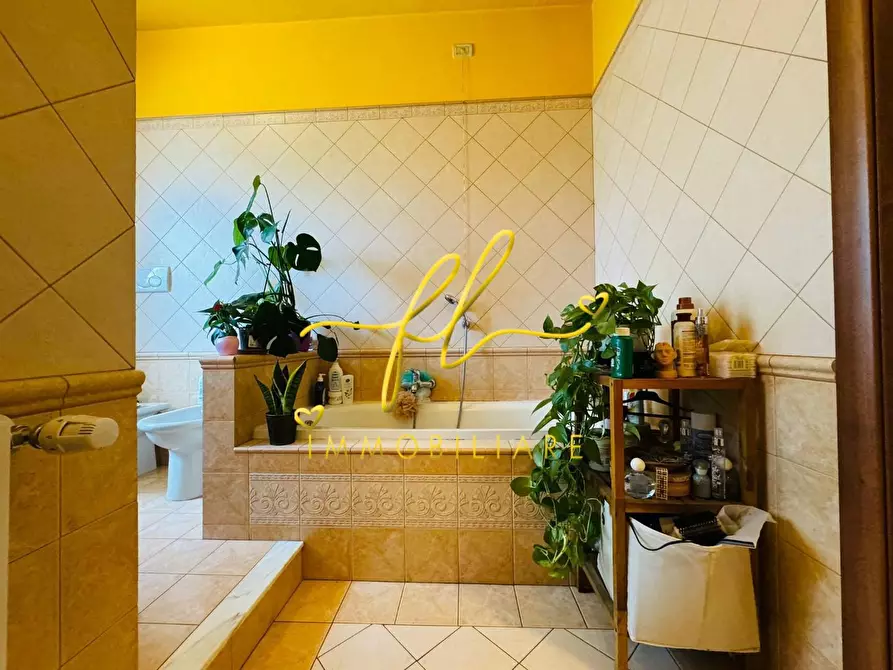 Immagine 23 di Appartamento in vendita  a Collesalvetti