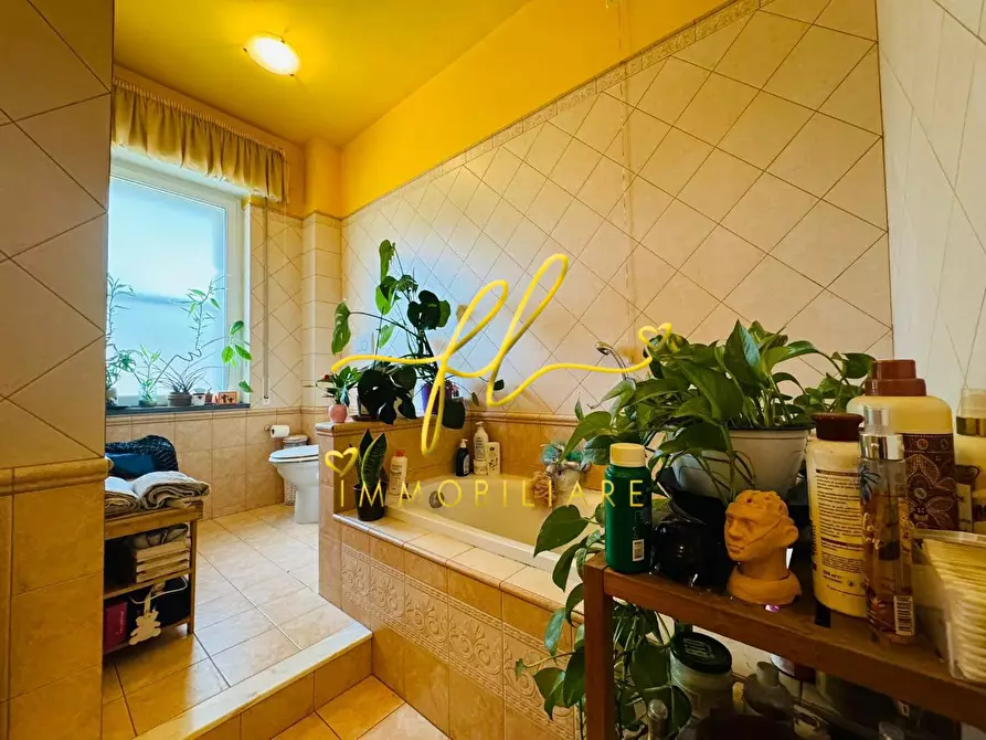 Immagine 24 di Appartamento in vendita  a Collesalvetti