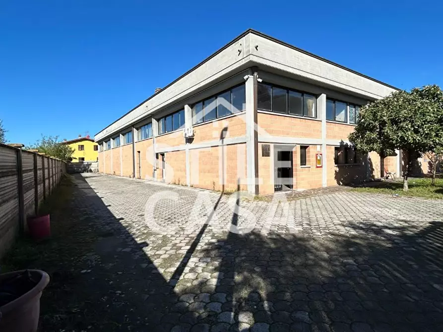 Immagine 3 di Capannone industriale in vendita  a Altopascio