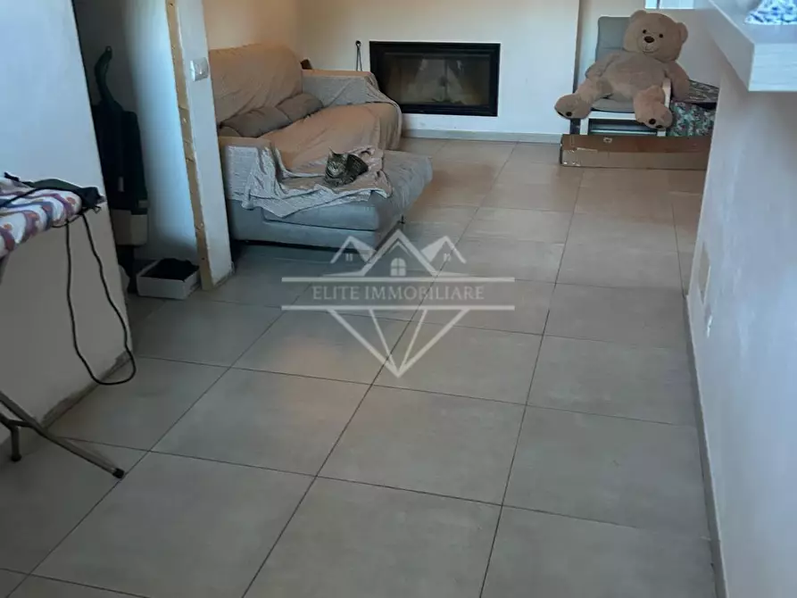 Immagine 7 di Appartamento in vendita  a Massa