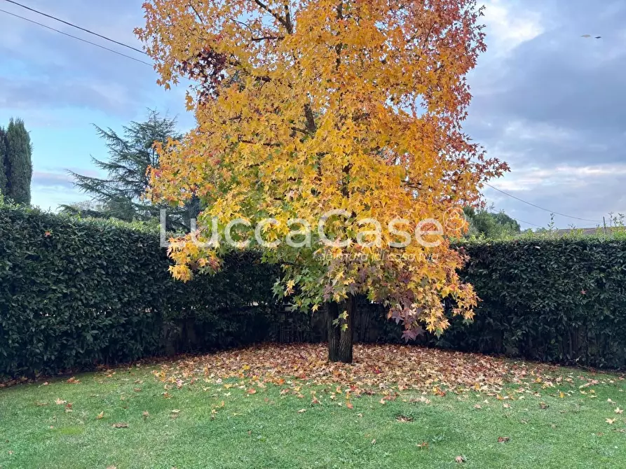 Immagine 2 di Villetta a schiera in vendita  a Porcari