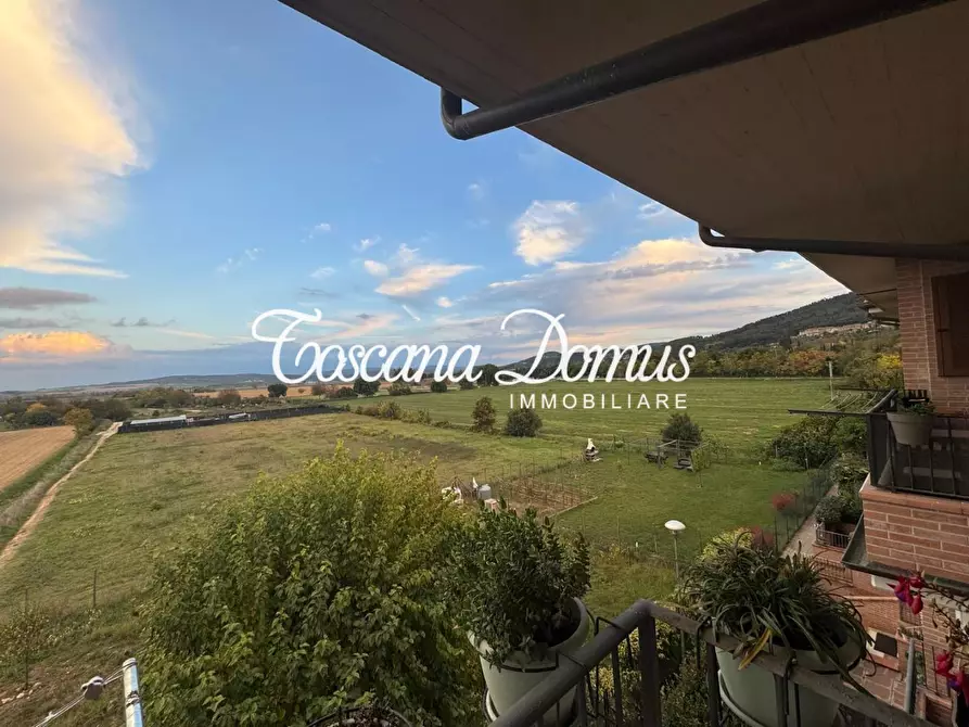 Immagine 3 di Appartamento in vendita  a Sovicille