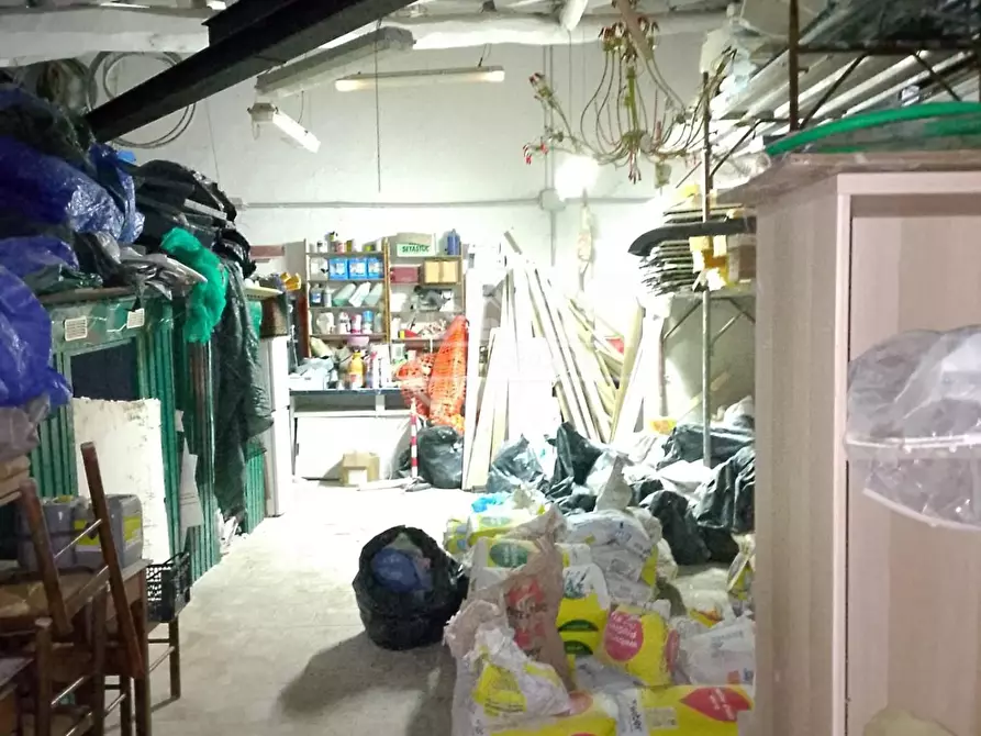 Immagine 3 di Attività artigianale in vendita  a Carrara