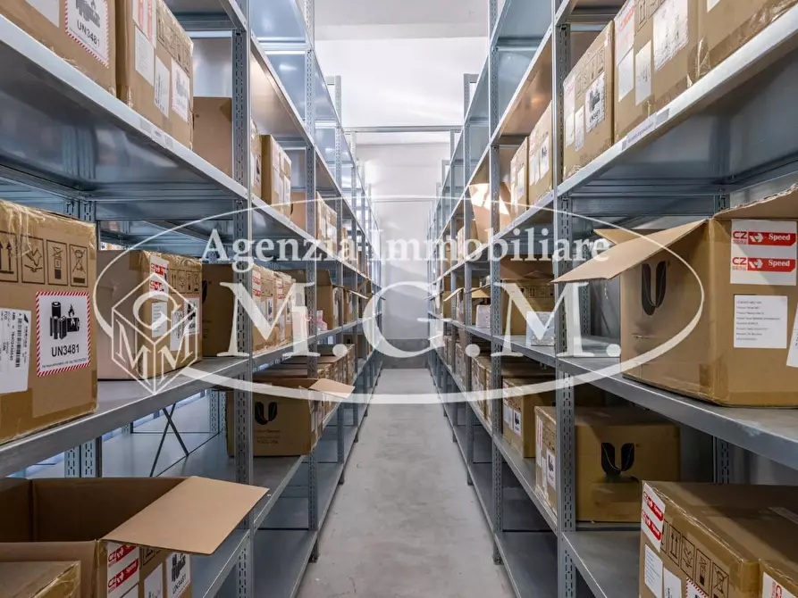 Immagine 19 di Capannone industriale in vendita  a Calcinaia