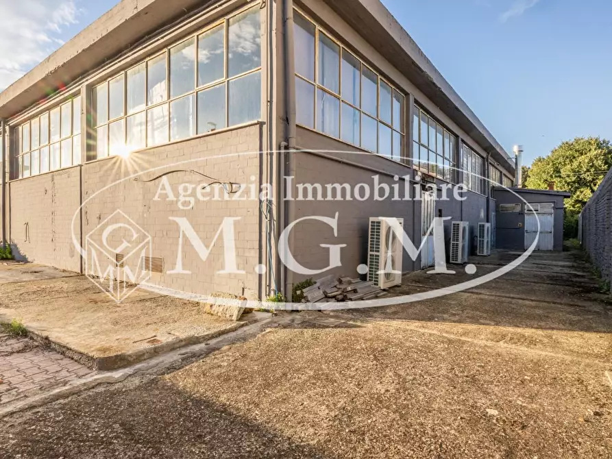 Immagine 55 di Capannone industriale in vendita  a Calcinaia