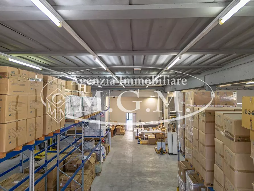 Immagine 38 di Capannone industriale in vendita  a Calcinaia
