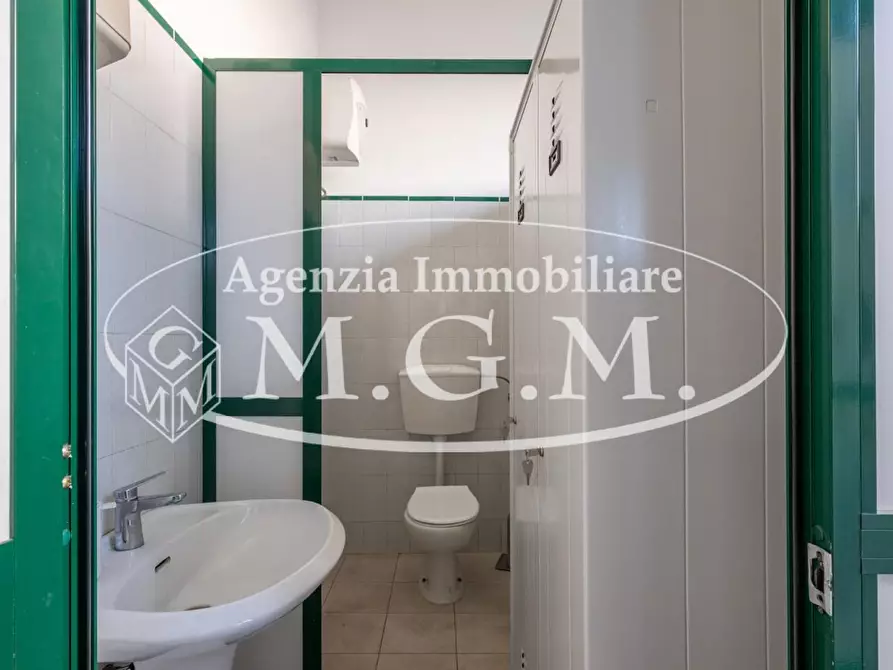 Immagine 26 di Capannone industriale in vendita  a Calcinaia