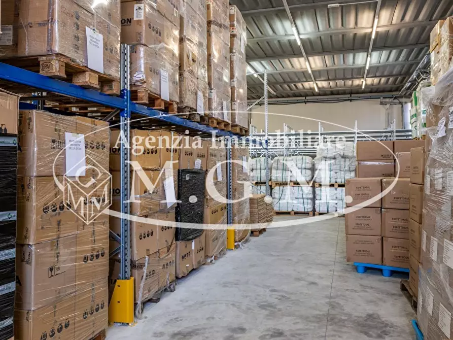 Immagine 8 di Capannone industriale in vendita  a Calcinaia