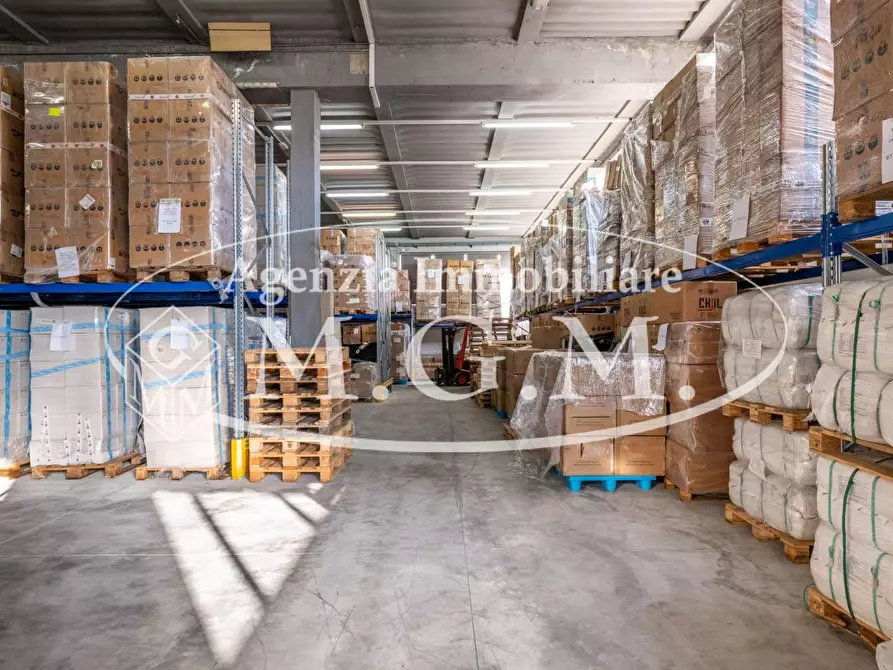 Immagine 5 di Capannone industriale in vendita  a Calcinaia