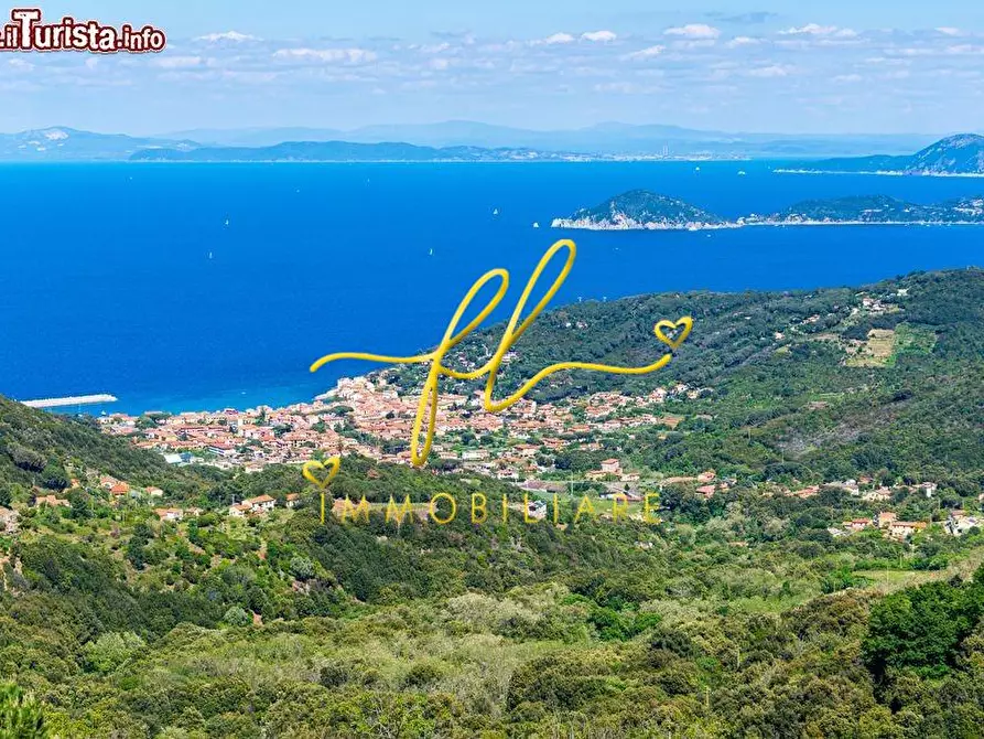 Immagine 7 di Appartamento in vendita  a Marciana