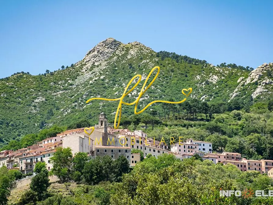 Immagine 10 di Appartamento in vendita  a Marciana