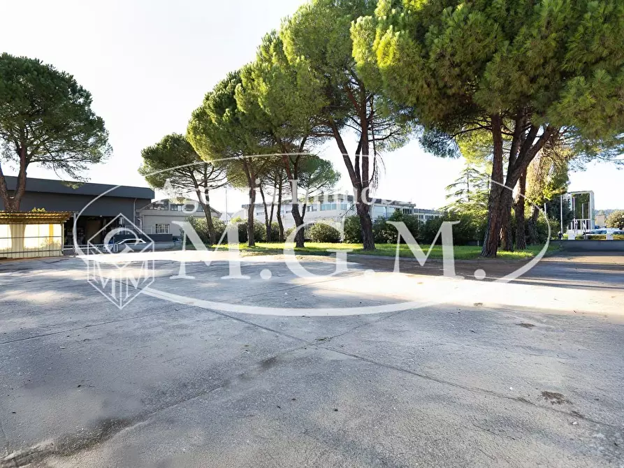 Immagine 18 di Capannone industriale in vendita  a Santa Croce Sull'arno