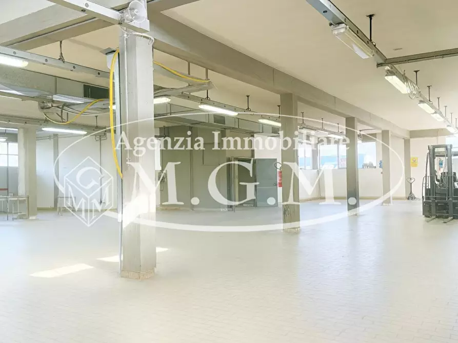 Immagine 24 di Capannone industriale in vendita  a Santa Croce Sull'arno