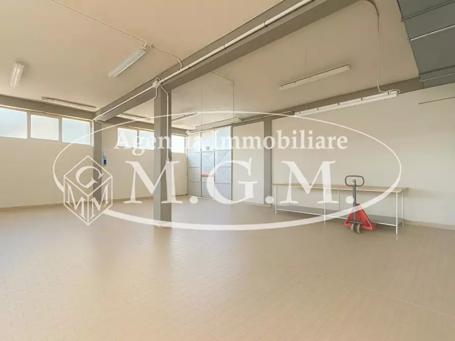 Immagine 27 di Capannone industriale in vendita  a Santa Croce Sull'arno