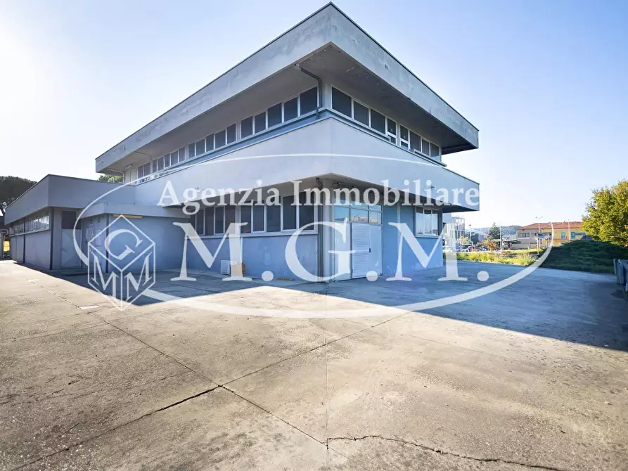 Immagine 11 di Capannone industriale in vendita  a Santa Croce Sull'arno