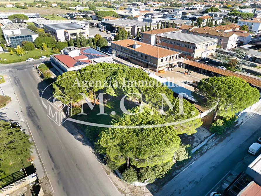 Immagine 6 di Capannone industriale in vendita  a Santa Croce Sull'arno