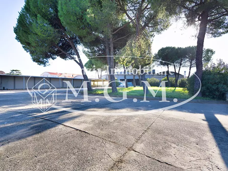 Immagine 16 di Capannone industriale in vendita  a Santa Croce Sull'arno