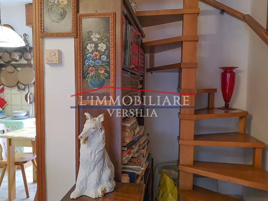 Immagine 19 di Appartamento in vendita  a Massa